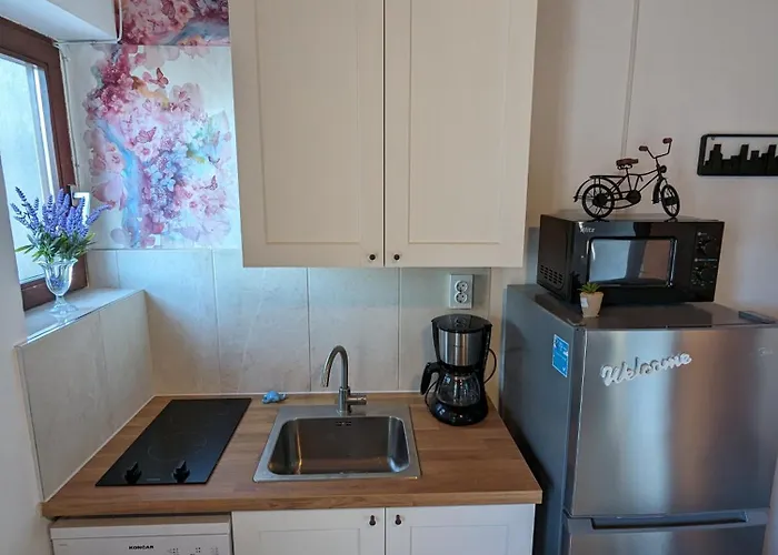 شقة Zeezicht 50m From *